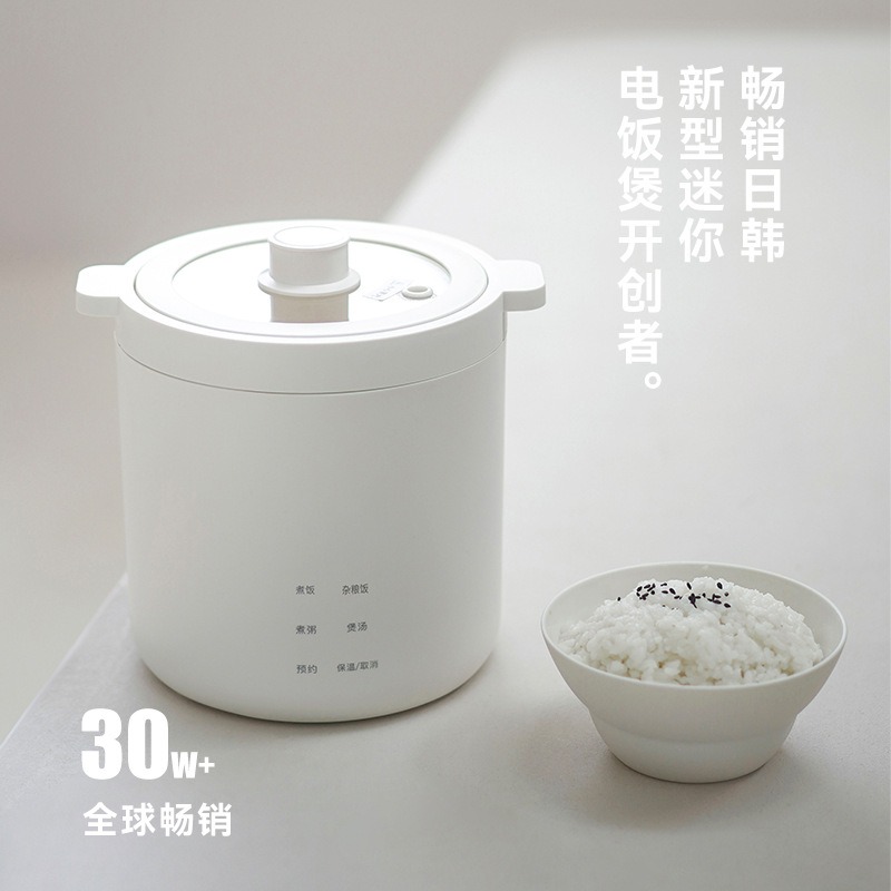 طباخ أرز كهربائي صغير على شكل  - مراجعة Rice Cooker وسعره